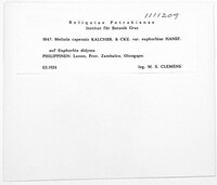 Image Associated With the Occurence